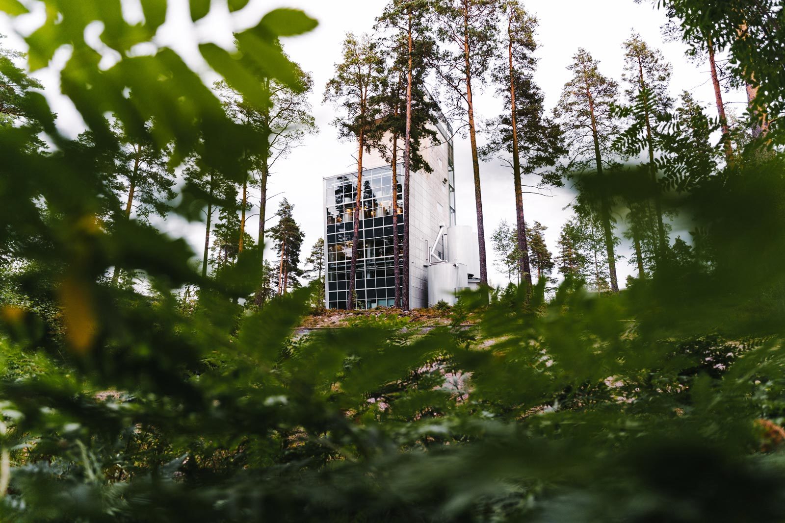 Ausgefallene Fassreifungen aus dem hohen Norden